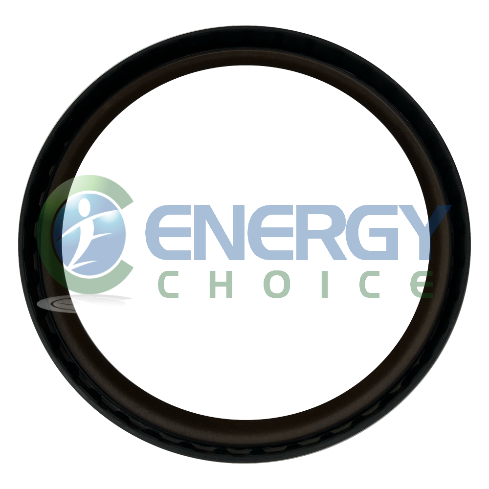 Shaft Seal, Jenbacher, 458098